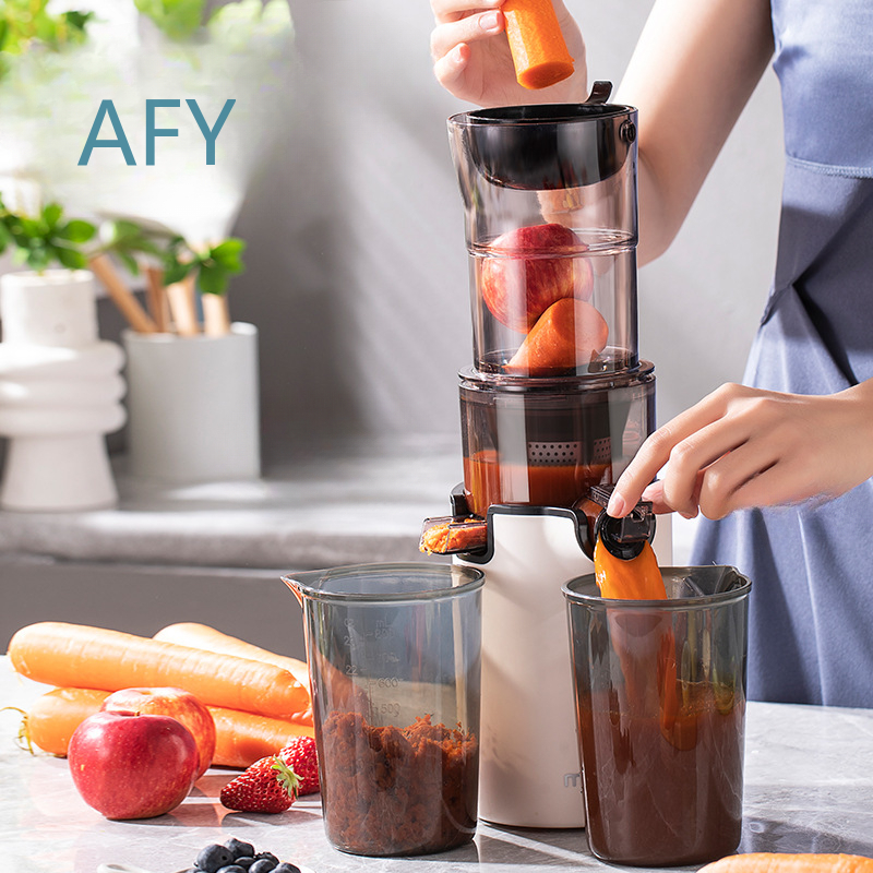 220V Elektrischer Slow Juicer  – Electric Slow Juicer Cold Press Bewertung und Preis